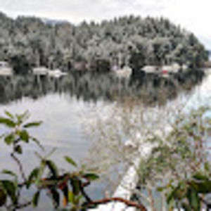 Meet your Posher, Max